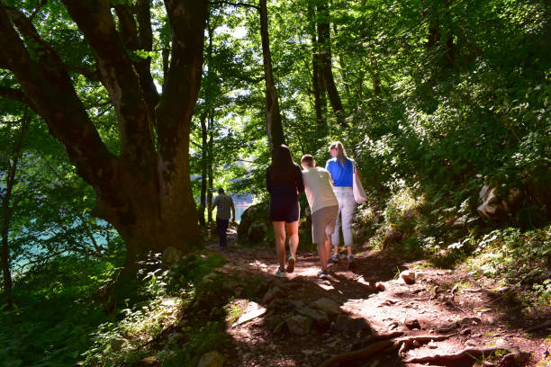 Walking trail through forest with natural uneven ground